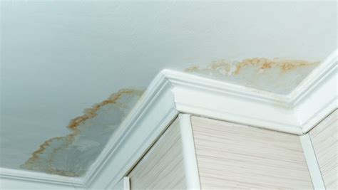 brown stain on ceiling but no leak|Brown stains, but no leak! (with pictures) 